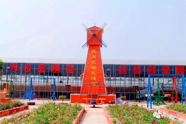 游玩好去處！內鄉縣灌漲鎮歐月花海風(fēng)情園盛妝開(kāi)園(圖2)