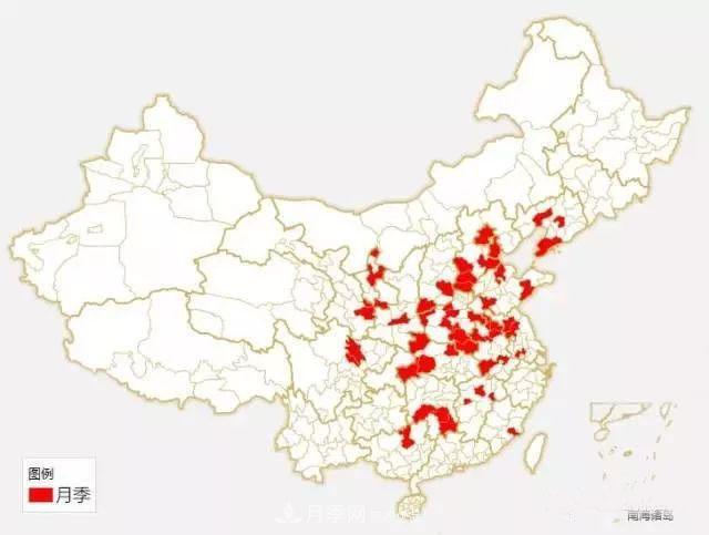 中國各城市市花大集合！月季是51個(gè)城市市花具首位(圖1)