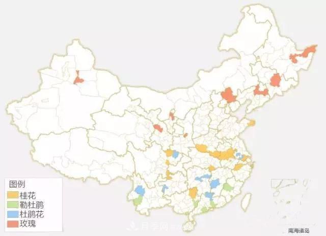 中國各城市市花大集合！月季是51個(gè)城市市花具首位(圖2)