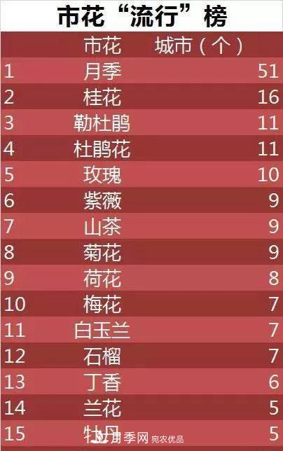 中國各城市市花大集合！月季是51個(gè)城市市花具首位(圖3)