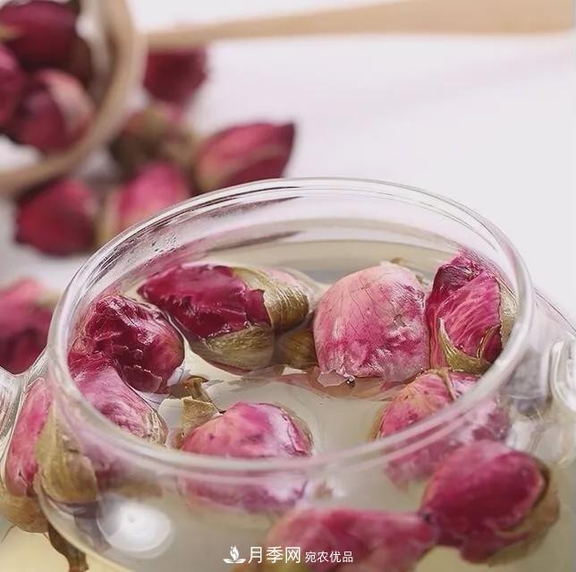 被稱(chēng)京南***美花園 河北滄州肅寧國際月季博覽園大觀(guān)(圖12)