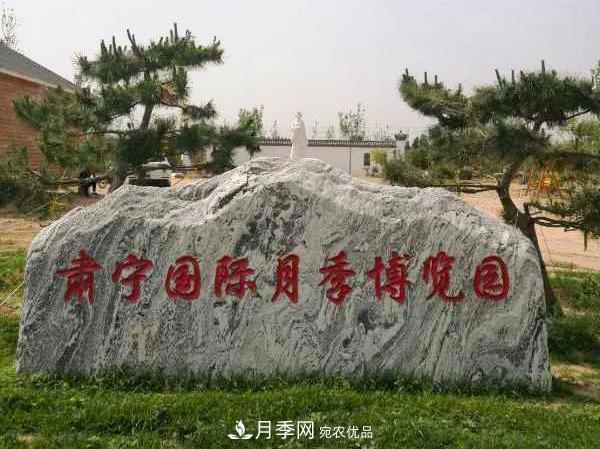 被稱(chēng)京南***美花園 河北滄州肅寧國際月季博覽園大觀(guān)(圖14)