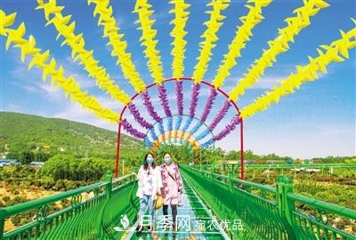 好一個(gè)美麗的中國月季之鄉--南陽(yáng)中國月季園掠影(圖3)
