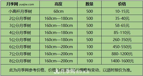 1、3、6公分南陽(yáng)樹(shù)狀月季多少錢(qián)一棵？樹(shù)狀月季價(jià)格表！(圖2)