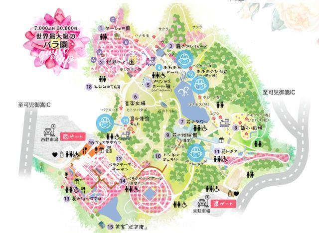 走進(jìn)世界***大月季園，近7000個(gè)品種，30000棵月季……(圖6)