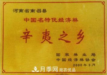 “中國辛夷之鄉”在哪里？河南省南召縣(圖1)