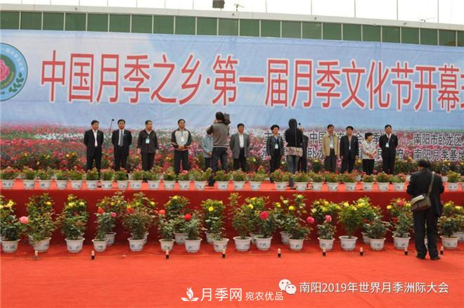 南陽(yáng)月季文化節記錄(圖1)
