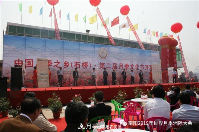 南陽(yáng)月季文化節記錄(圖2)