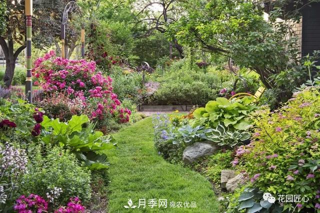 八月月季花卉養護，園丁的打理事宜(圖1)