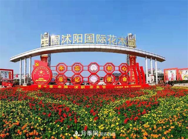 這些中國著(zhù)名苗木產(chǎn)地你知道幾個(gè)？值得收藏！(圖2)