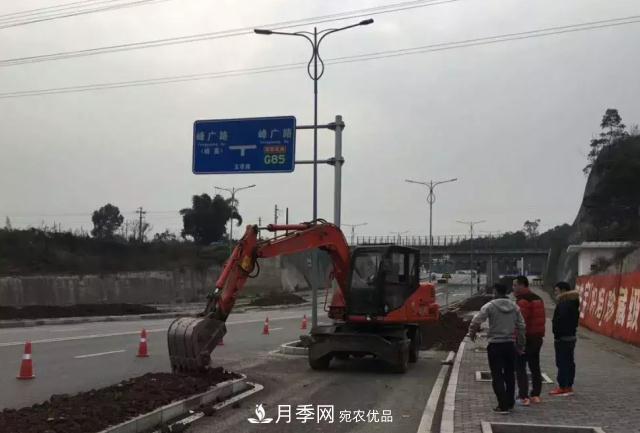 綠化工程苗木價(jià)格計算辦法(圖1) 綠化工程苗木價(jià)格計算辦法(圖1)