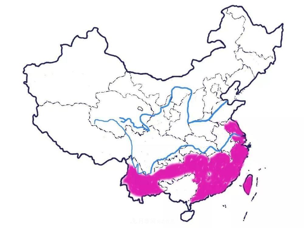 月季的前世今生 | 假如中國月季沒(méi)有傳入歐洲(圖16)