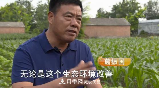 河南商丘男子種苗木，半年營(yíng)業(yè)額達3000萬(wàn)(圖3)