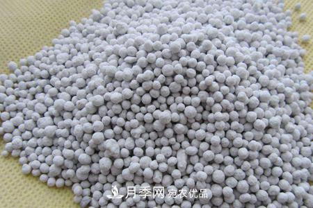 養護月季花施肥施什么肥料？(圖1)