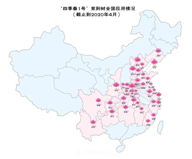 苗木產(chǎn)品的價(jià)格、價(jià)值和供需——三角關(guān)系之動(dòng)態(tài)平衡(圖6)