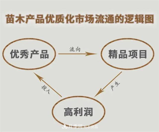 苗木產(chǎn)品的價(jià)格、價(jià)值和供需——三角關(guān)系之動(dòng)態(tài)平衡(圖5)