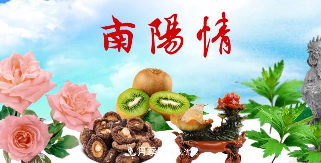 南陽(yáng)市總人口1194.23萬(wàn)居全省** 河南每9人就有1個(gè)南陽(yáng)人(圖2)