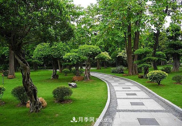 苗農如何把握苗木行業(yè)發(fā)展的命脈(圖1)