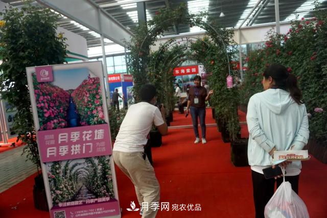 焦“綠”的苗木人，在山東昌邑園林花木會(huì )展上收獲了什么(圖3)
