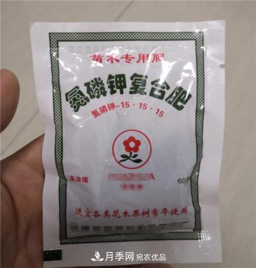 買(mǎi)月季花時(shí)贈送的小包肥料和生根粉是真是假？教你辨別(圖1)