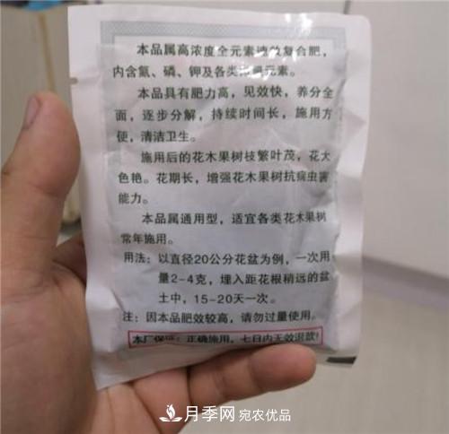 買(mǎi)月季花時(shí)贈送的小包肥料和生根粉是真是假？教你辨別(圖2)
