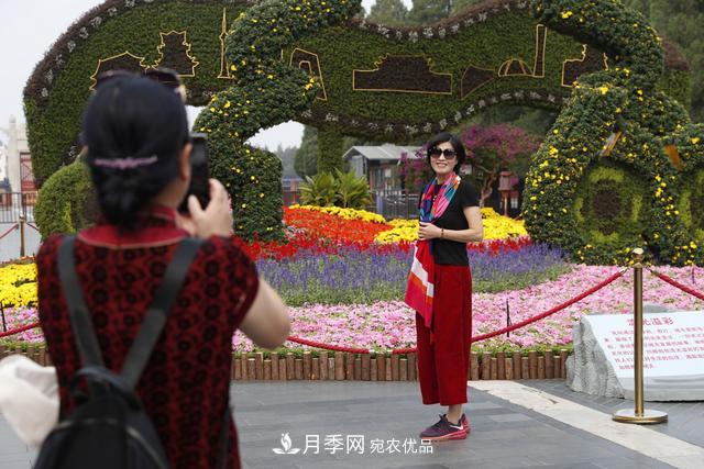 北京天壇公園國慶花壇亮相，萬(wàn)株月季節日迎客(圖1)