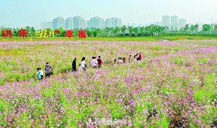 第十屆中國月季展覽會(huì )在安徽阜陽(yáng)舉行(圖1)