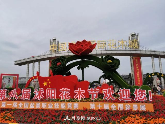 第八屆中國·沭陽(yáng)花木節開(kāi)幕，參觀(guān)盆景界的“奧林匹克”(圖1)