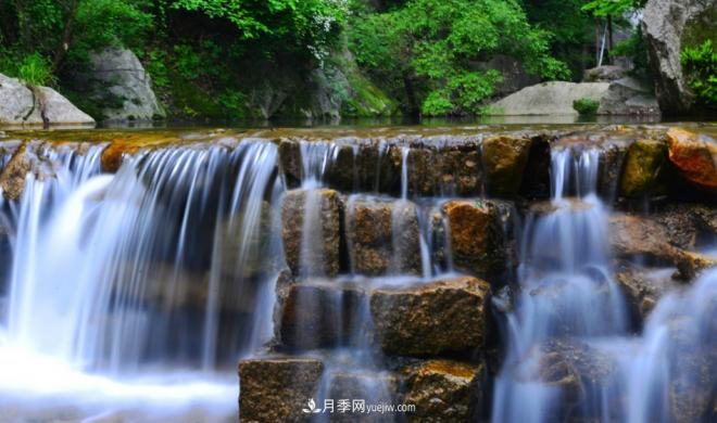 河南五個(gè)綠色“海洋”，在20度的森林中呼吸，讓你流連忘返(圖2)