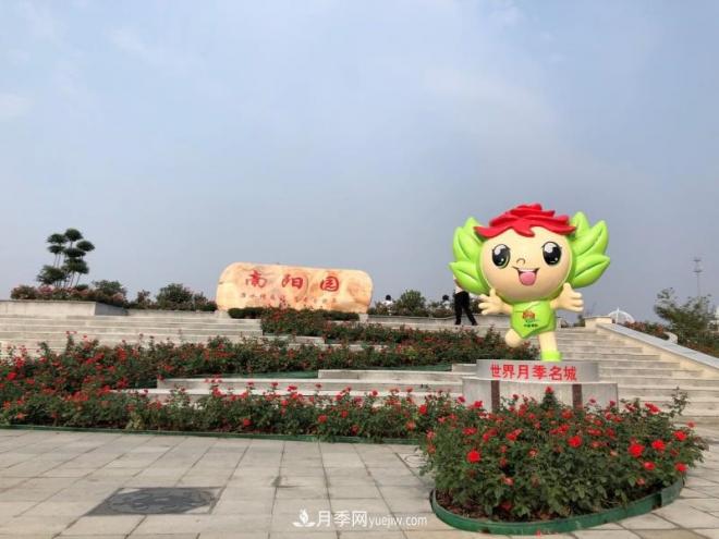 南陽(yáng)月季在安徽第十屆中國月季展覽會(huì )上大放異彩(圖1)