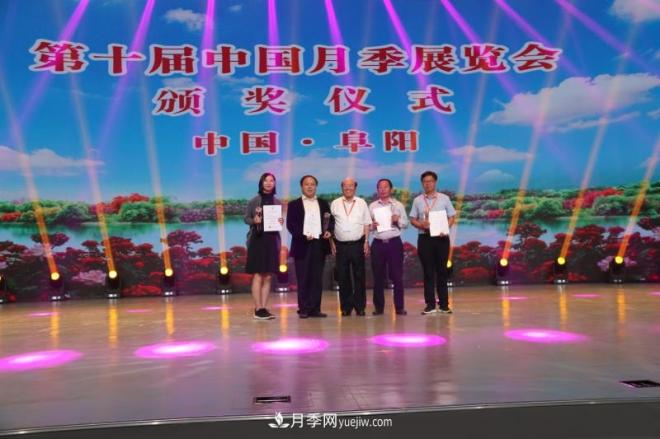 南陽(yáng)月季在安徽第十屆中國月季展覽會(huì )上大放異彩(圖5)