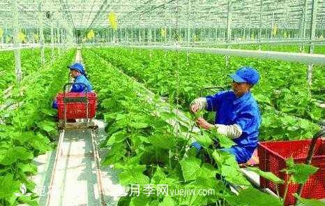 南陽(yáng)有機農業(yè)全國**是怎樣煉成的？南水北調水源地生態(tài)農業(yè)見(jiàn)聞(圖1)