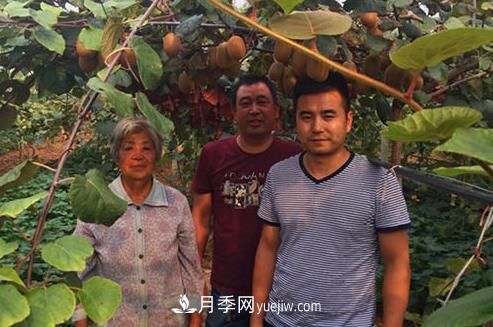 南陽(yáng)西峽縣青年朱云漢做電商 一天能賣(mài)近兩噸獼猴桃(圖1)