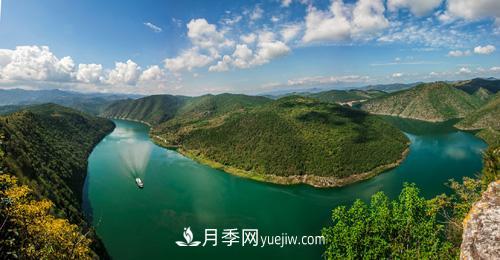 南陽(yáng)淅川上集鎮養雞改種苗木綠化樹(shù) 照樣能致富(圖1)