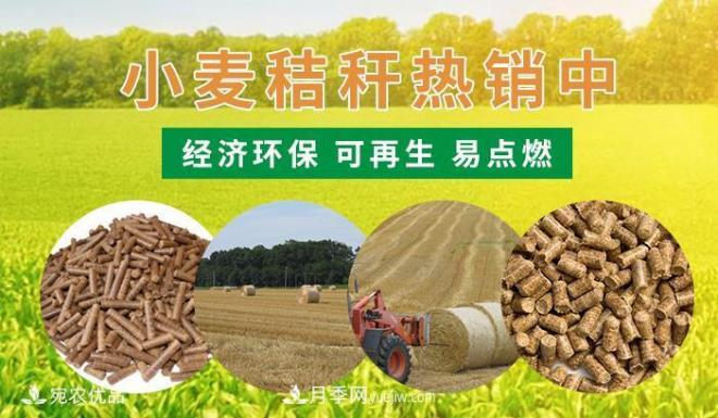 南陽(yáng)小麥秸稈生物質(zhì)燃料批發(fā)(圖1)