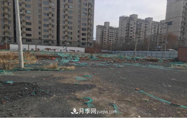 北京密云城區這片廢棄廠(chǎng)房“變身”月季公園(圖2)