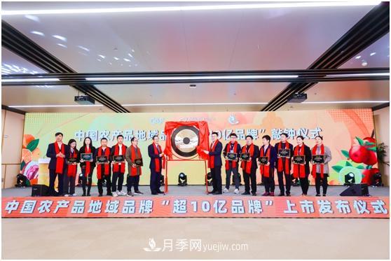 阿里巴巴“農交所”敲鐘 20個(gè)農產(chǎn)品地域品牌價(jià)值超5300億(圖1)