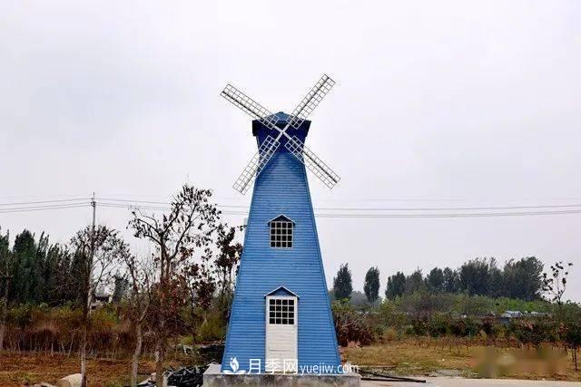 山東滕州北辛街道建成一座月季花海，總占地100畝真漂亮！(圖11)