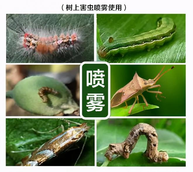 8種花木常用農藥介紹，價(jià)格便宜效果很好(圖3)