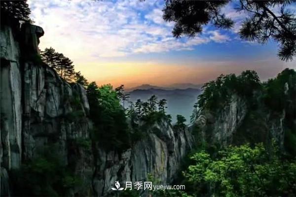 一縣一品公益助農，河南南召特色農產(chǎn)品辛夷(圖1)