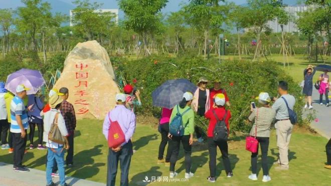 立冬已過(guò)，小雪將至~ 肇慶新區月季園景色獨好、風(fēng)光別致(圖3)