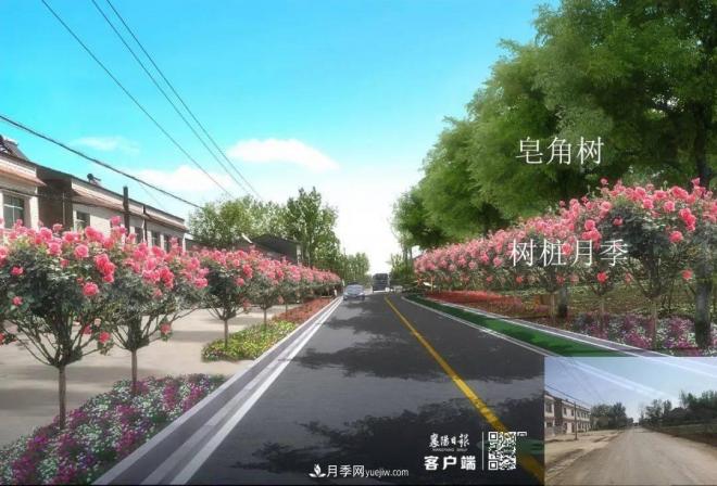 襄陽(yáng)樊城區景觀(guān)“一號公路”下個(gè)月通車(chē)，顏值驚人！(圖8)