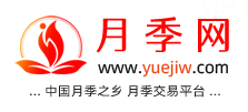 中國月季網(wǎng)，月季品種介紹和養護知識分享專(zhuān)業(yè)網(wǎng)站(圖1)