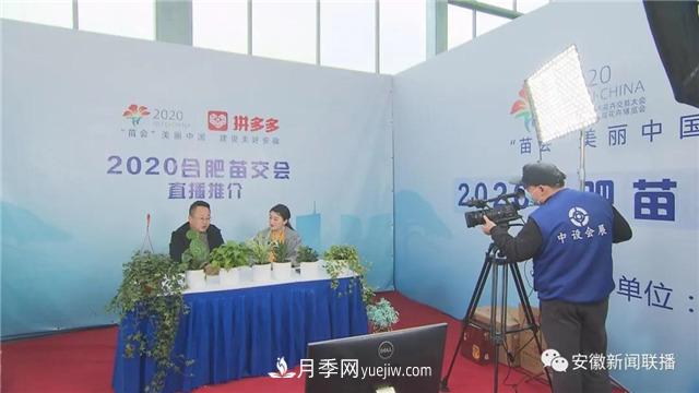 2600多種精品苗木花卉亮相2020合肥苗交會(huì )(圖3)