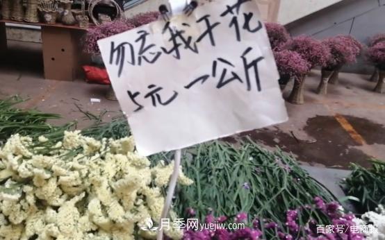 亞洲***大花卉小鎮：昆明斗南玫瑰4毛一支，年銷(xiāo)70億！(圖3)