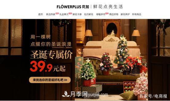 亞洲***大花卉小鎮：昆明斗南玫瑰4毛一支，年銷(xiāo)70億！(圖4)