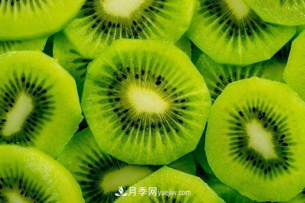 西峽獼猴桃的十大功效，對人體有哪些好處(圖1)