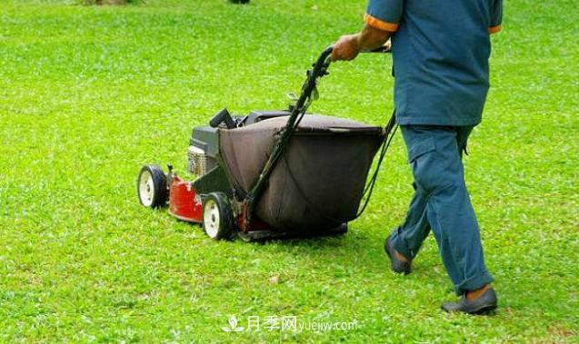 9月園林花木養護工作要點(diǎn)(圖1)
