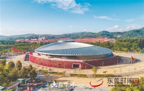 初冬時(shí)節，東莞市長(cháng)安鎮時(shí)令花卉大放異彩令人賞心悅目(圖1)