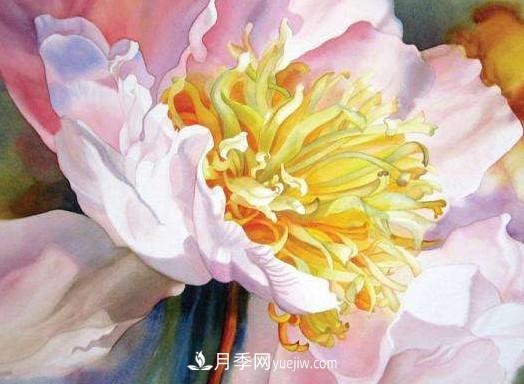 2020-2024年中國花卉市場(chǎng)發(fā)展預測分析(圖1)